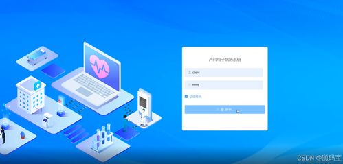 產科信息管理系統 門診管理與系統運維的核心解析